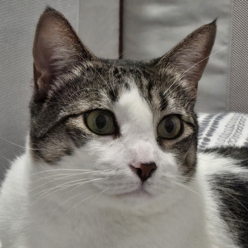 Meet your Posher, Kelly